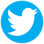 logo rond twitter